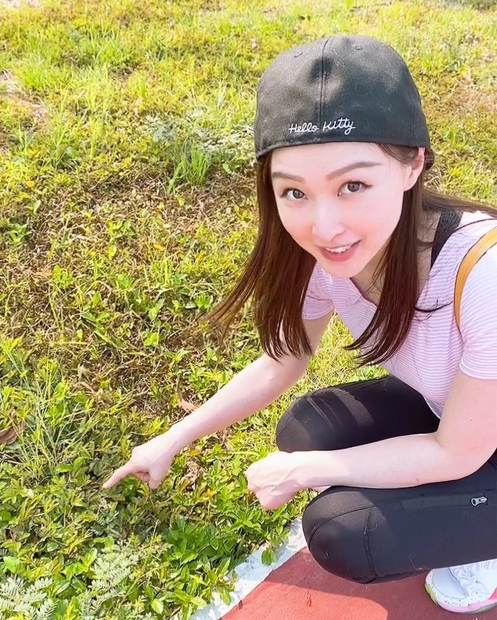  好耐冇見過好似我咁怕醜嘅怕醜草