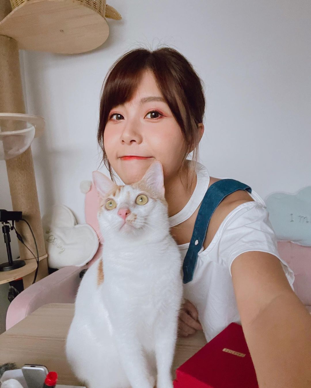 I love u♥️
這是我最愛的貓
