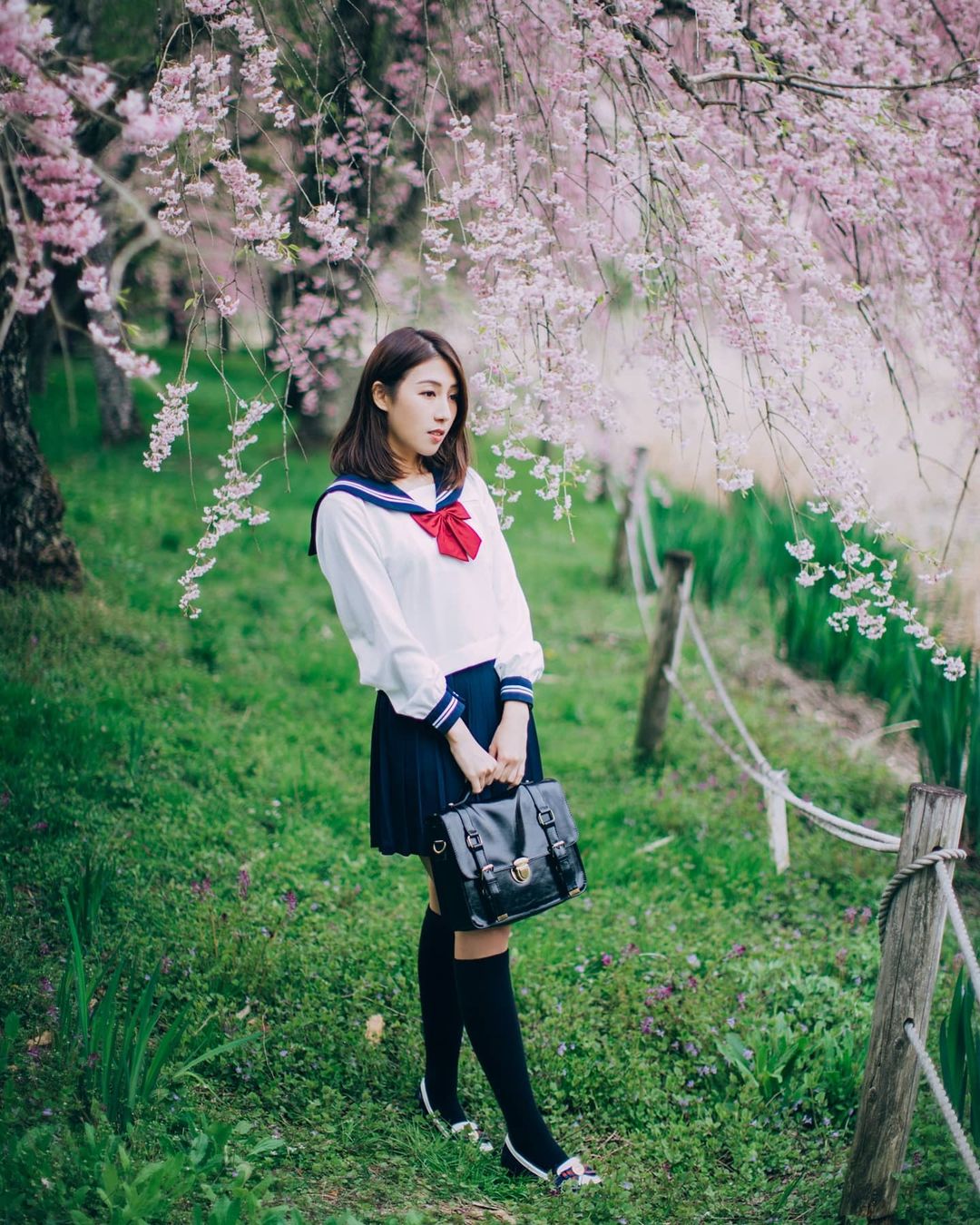  春之櫻。
【Breezy Whisper】

#nie_san_ 
#por...