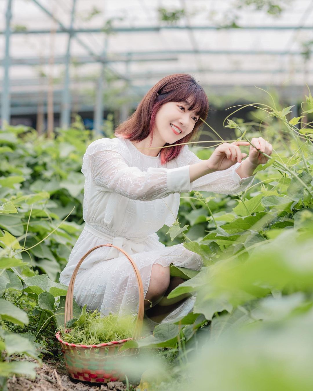  好喜歡菜園
