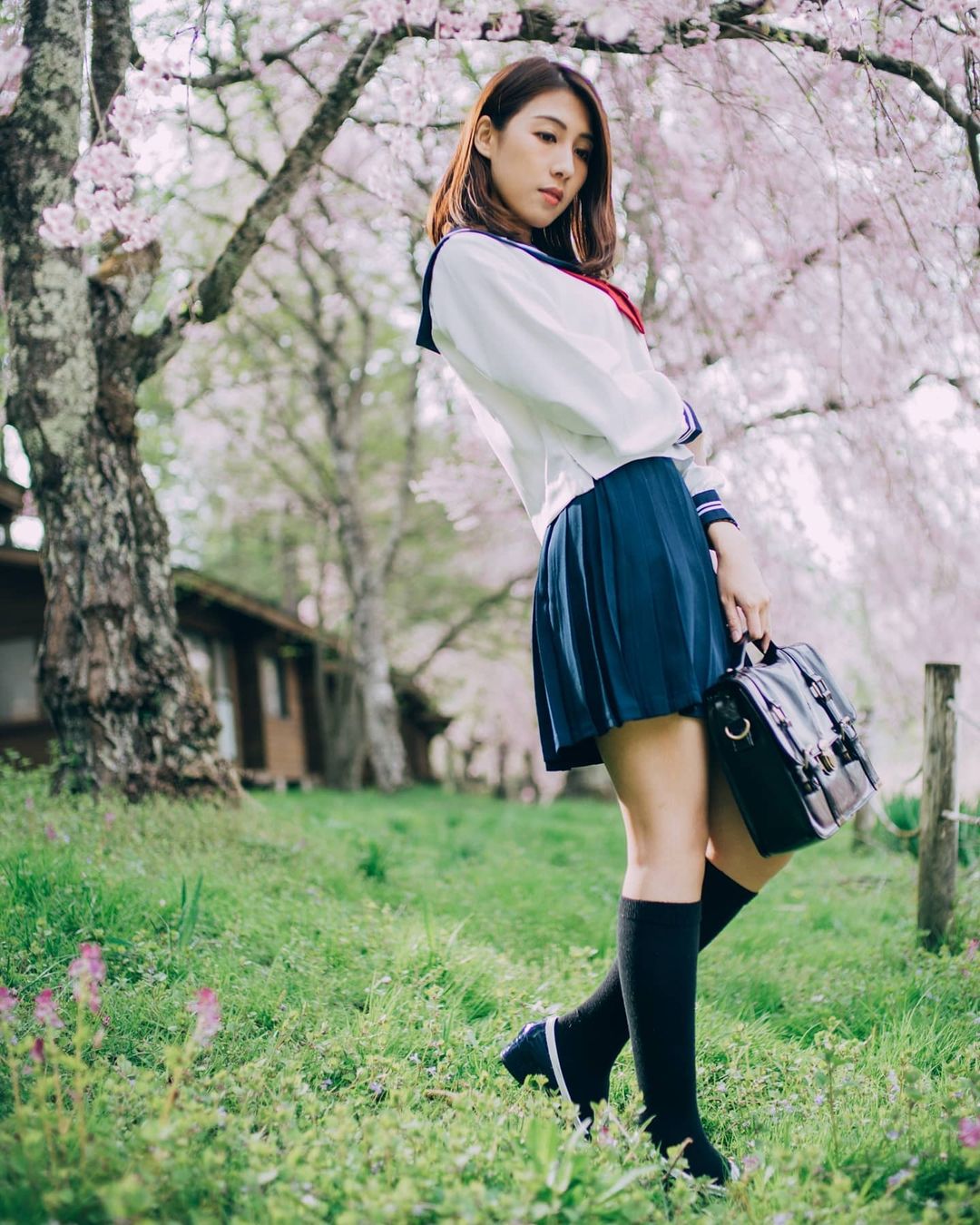 春之櫻。
【Breezy Whisper】

#nie_san_ 
#por...