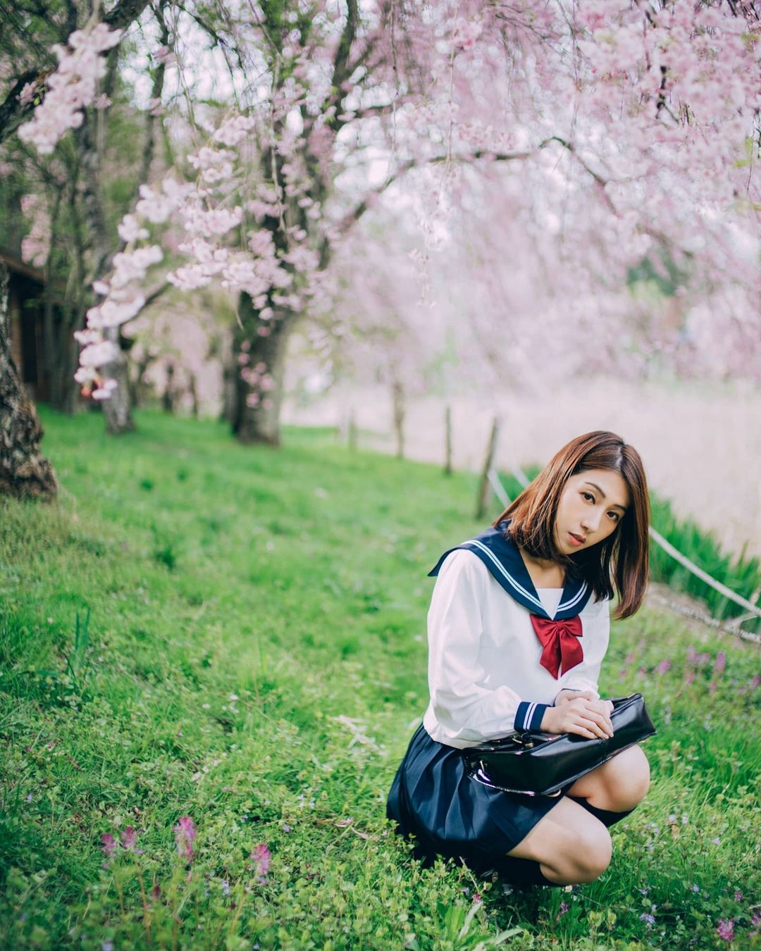  春之櫻。
【Breezy Whisper】

#nie_san_ 
#por...