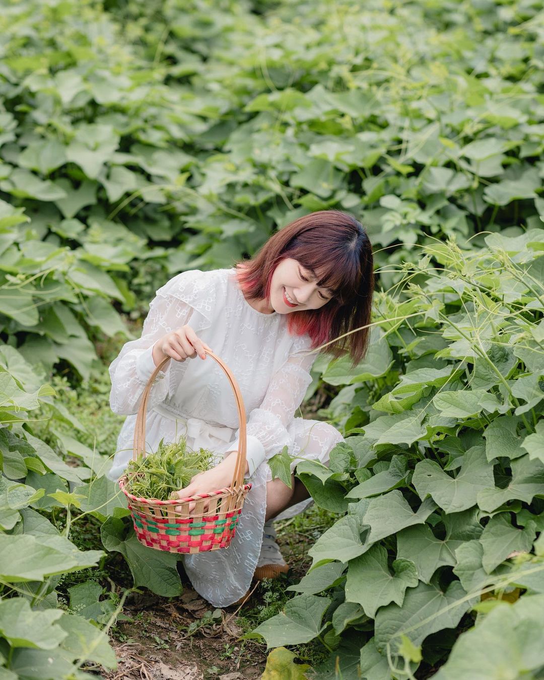 好喜歡菜園