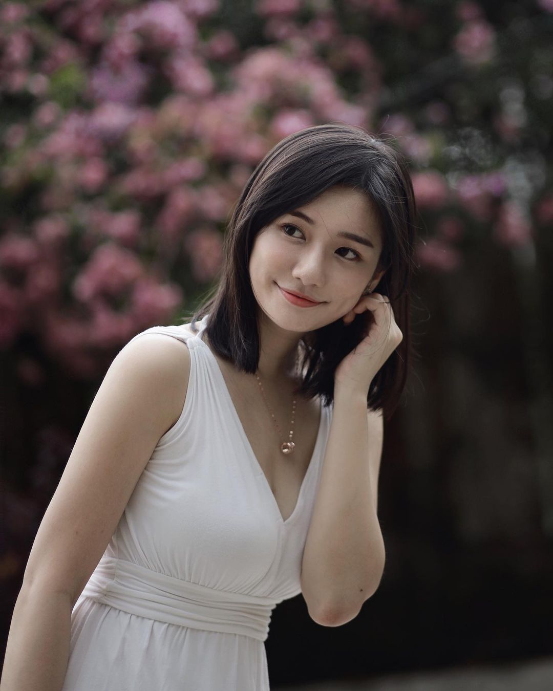  马来西亚路边的风铃木已经跌到7788了
...