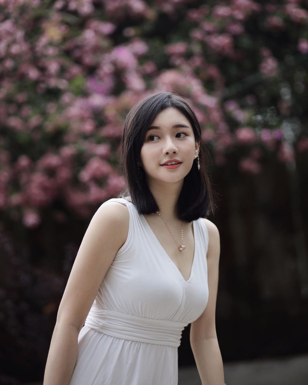  马来西亚路边的风铃木已经跌到7788了
...