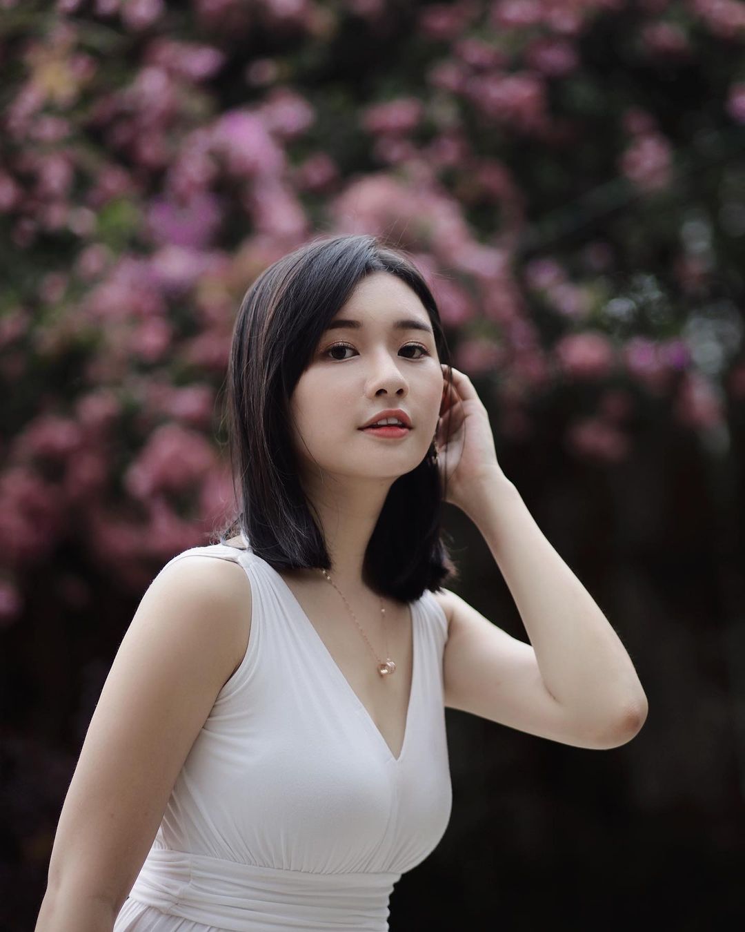  马来西亚路边的风铃木已经跌到7788了
...
