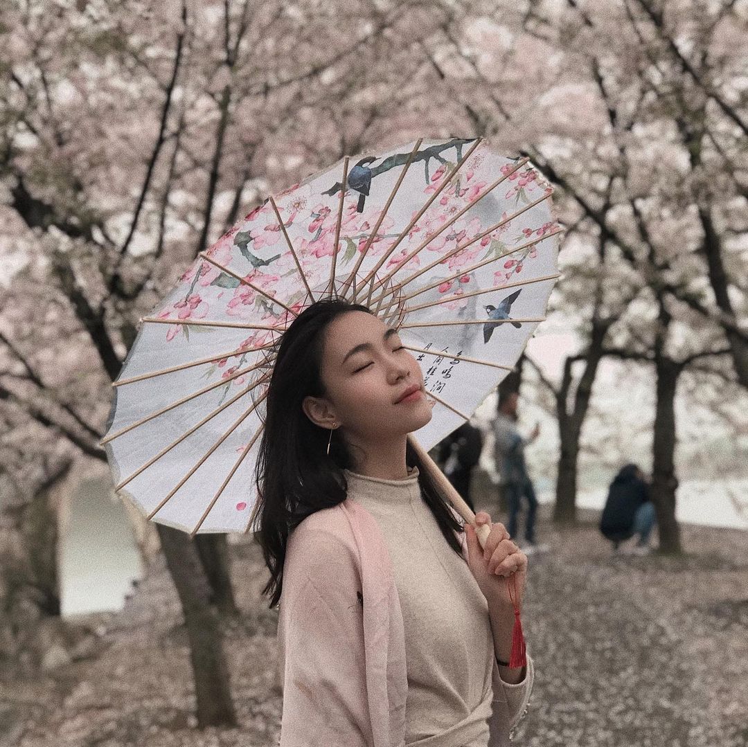  花開花落，雲捲雲舒。☁️

昨日美景...