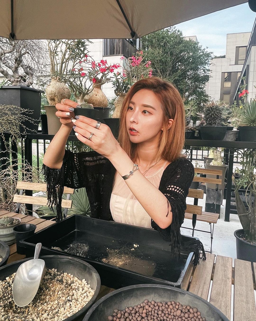  療癒的植物