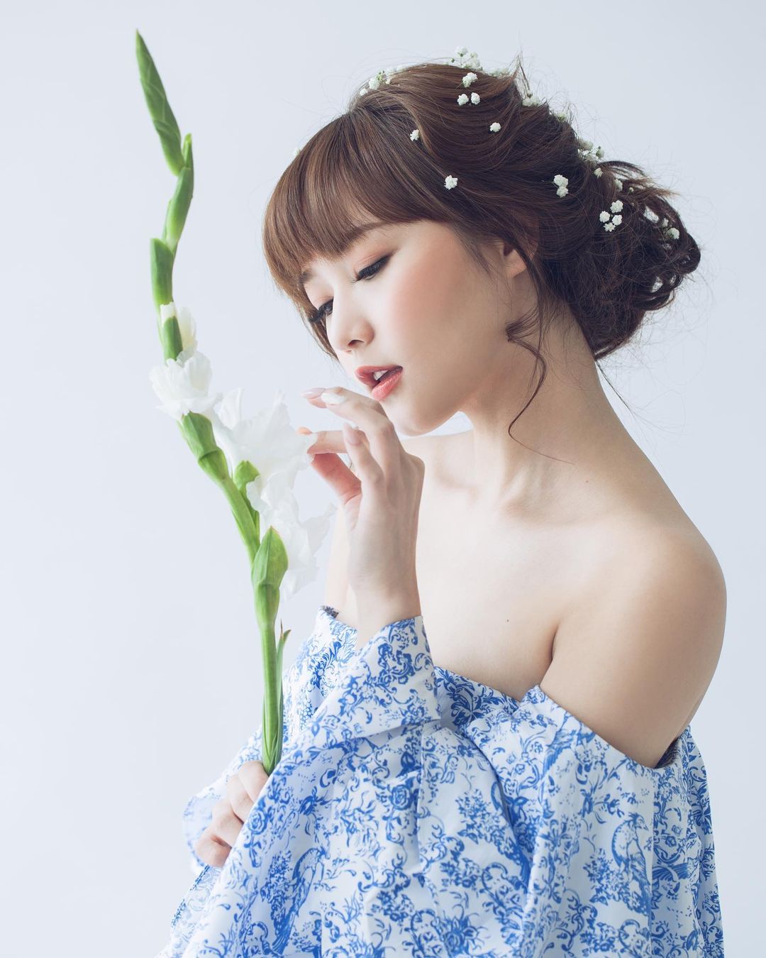  Blue hydrangeas 