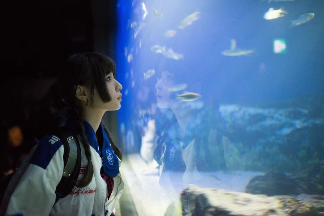  ！！放一張日本水族館拍的