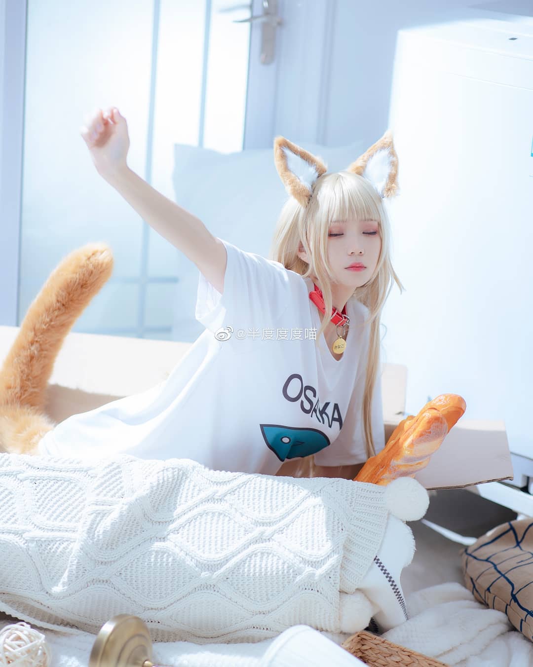  meow?
.
sc @半度度度喵 
#shimakaze #kancolle ...