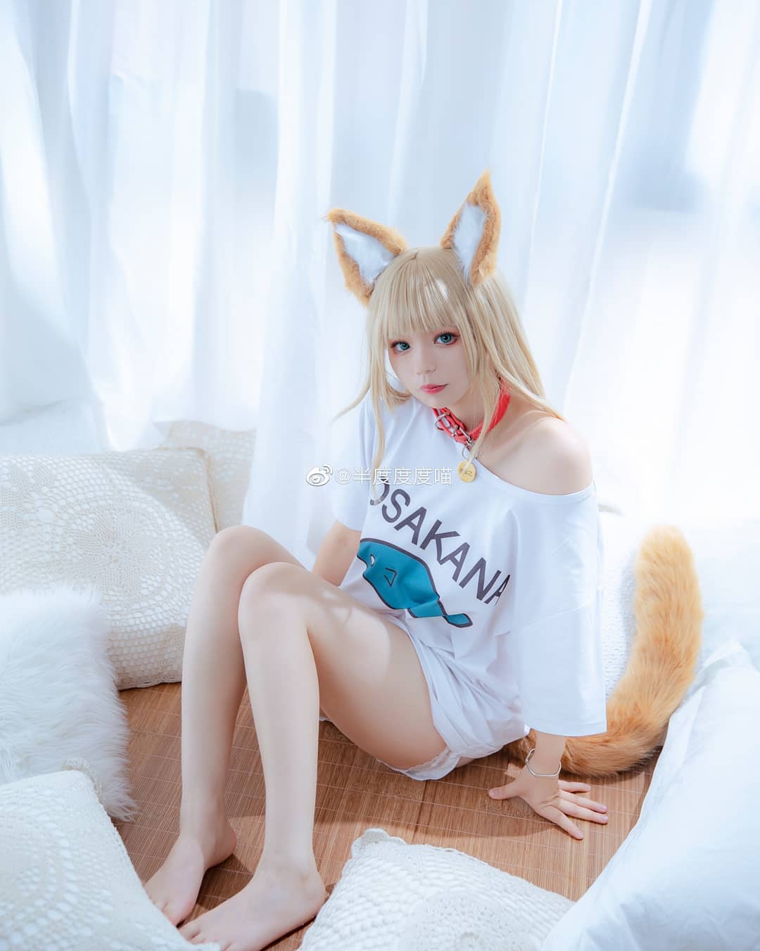  meow?
.
sc @半度度度喵 
#shimakaze #kancolle ...