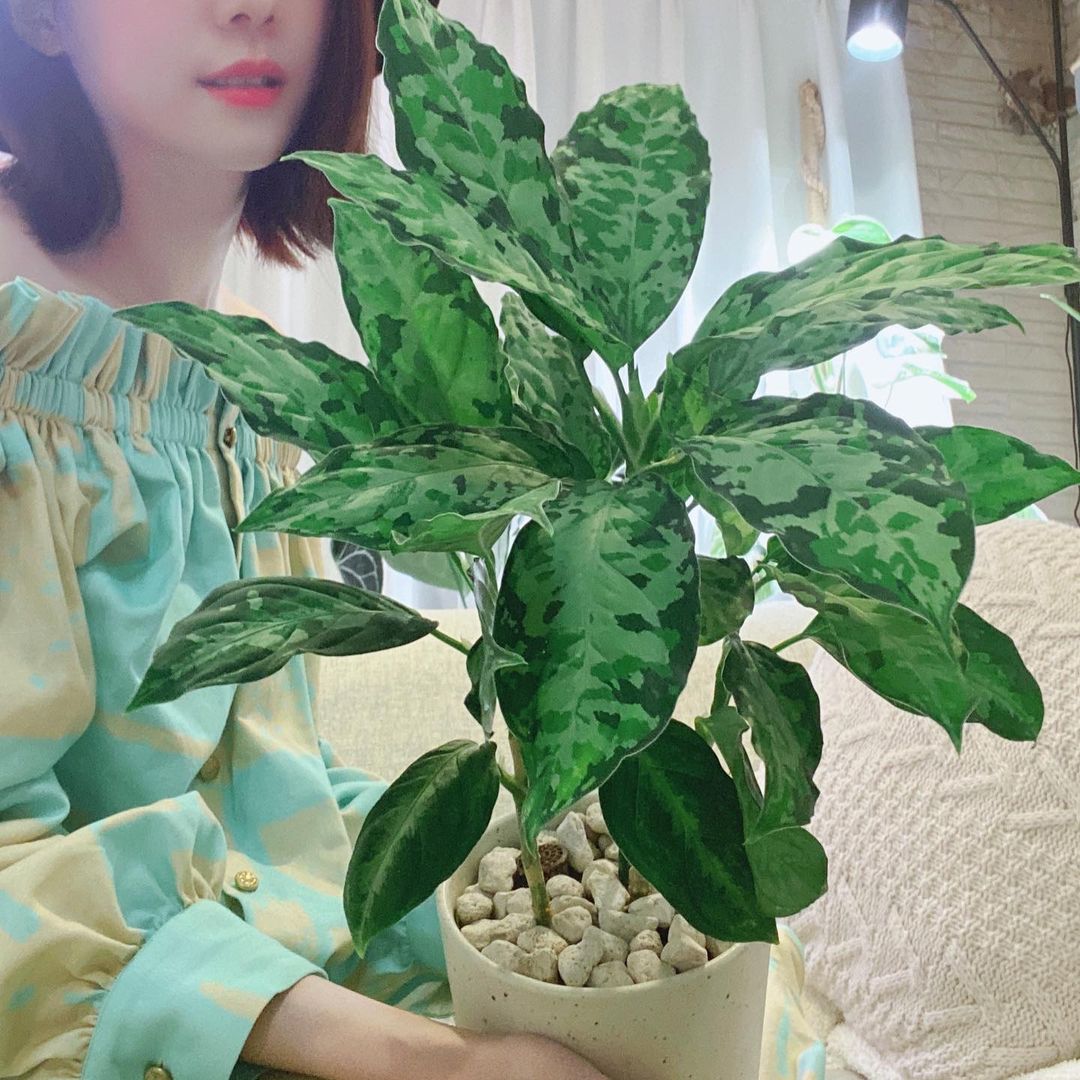  -
接生婆技能get ☑️
這次生兩胎