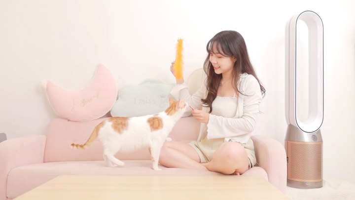  〰️
明明大掃除了 為什麼貓貓們都不...