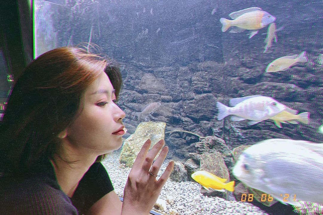  養魚吧～ 心煩時看著非常療癒～ 
還�...