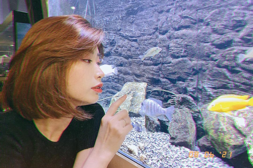  養魚吧～ 心煩時看著非常療癒～ 
還�...