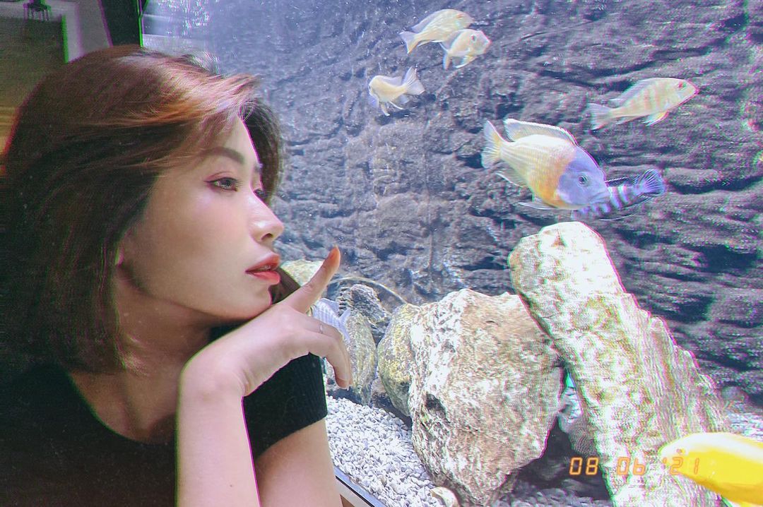 養魚吧～ 心煩時看著非常療癒～ 
還�...