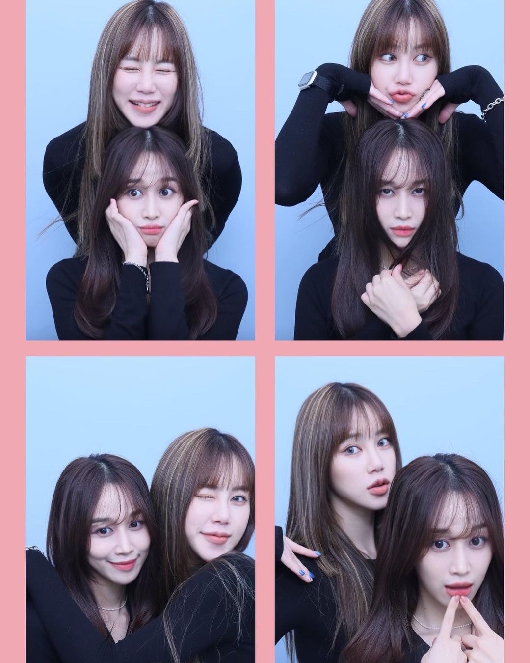 댕댕이상들은 다 나를 조아하나바