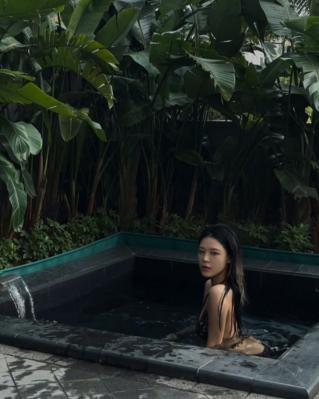  光可以照進來 愛可以肆意生長