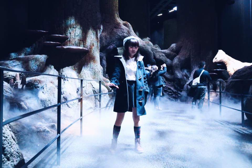   — 在 The Forbidden Forest