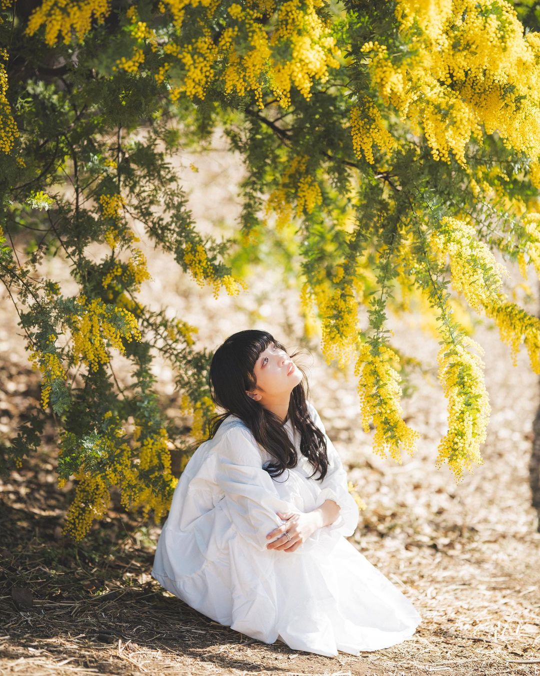  初認定を祝して

camera:α7RⅣ
lens:Super T...