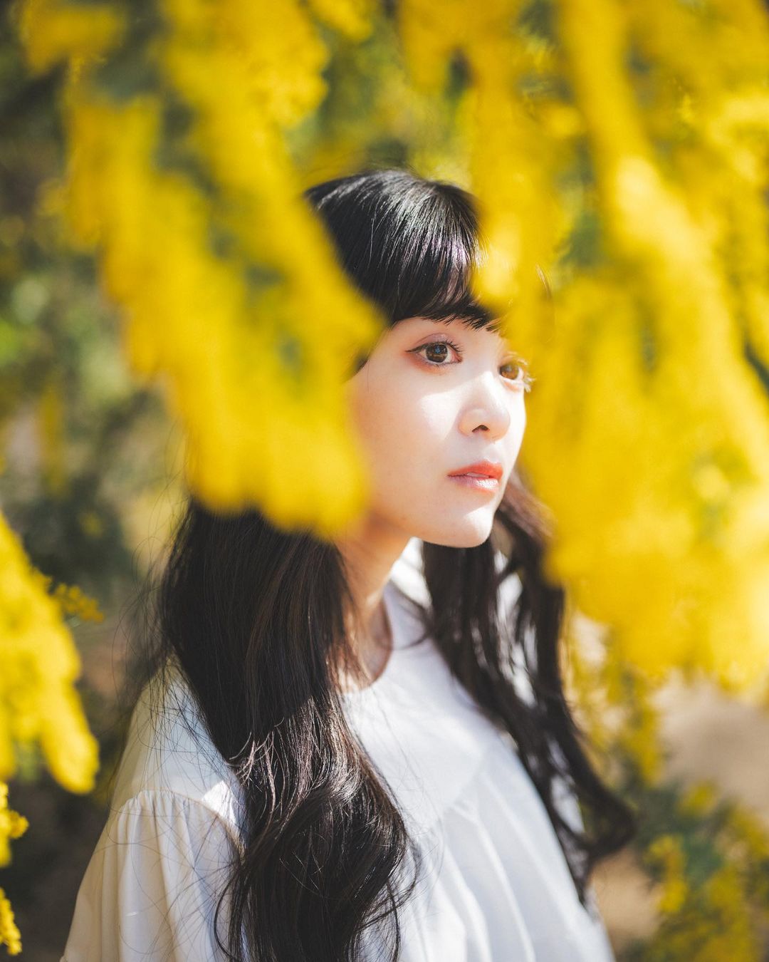  ミモザ

camera:α7RⅣ
lens:Super Takumar 50mm ...