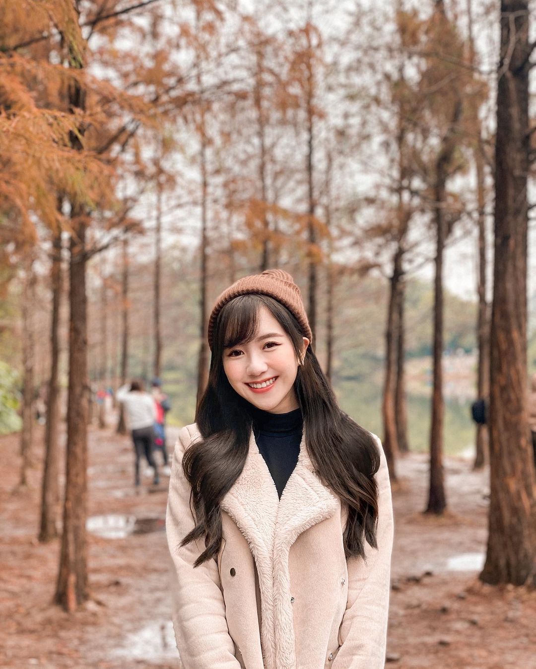  落羽松
