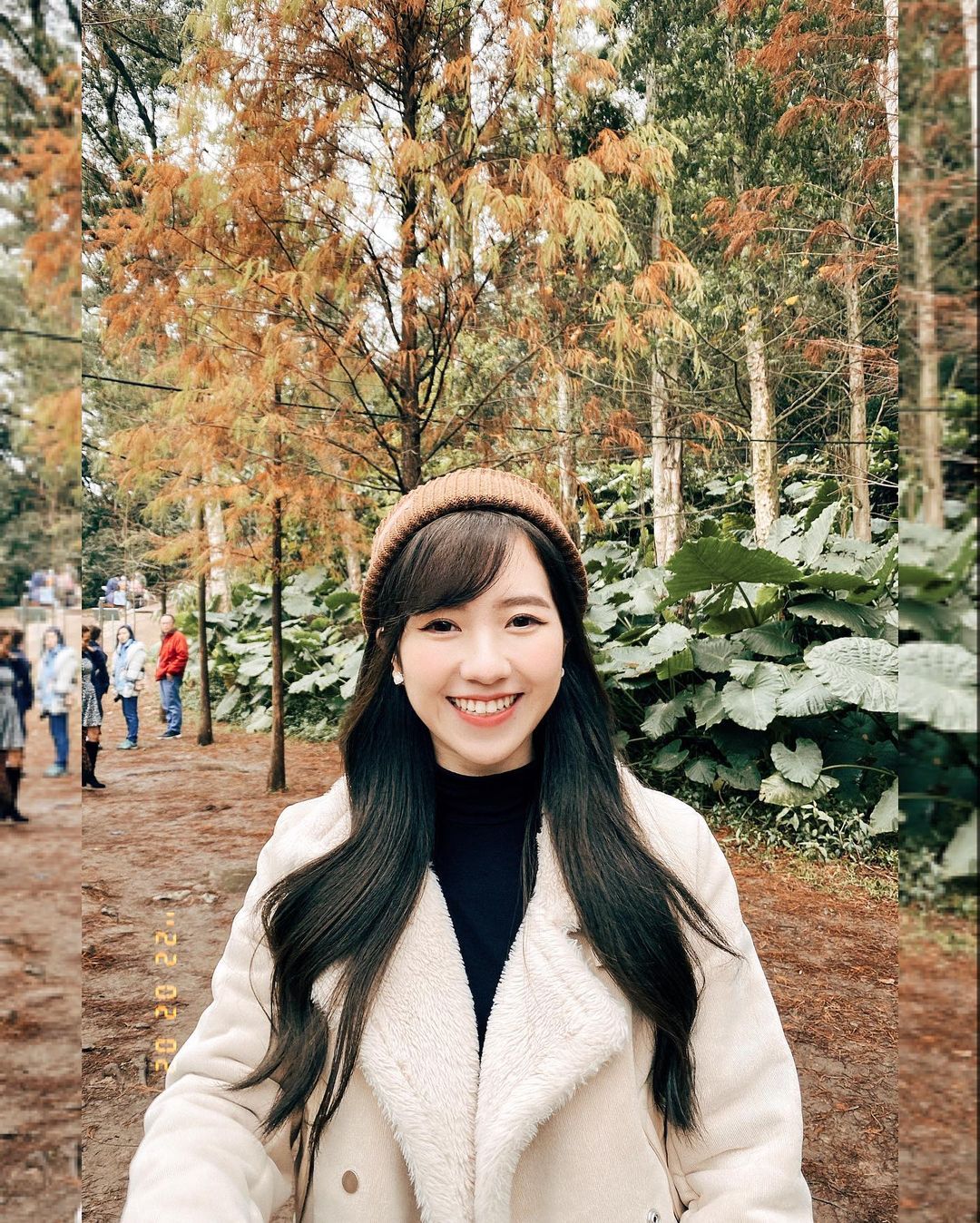  落羽松