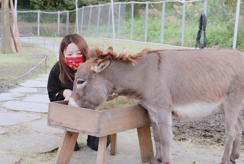  可愛動物區