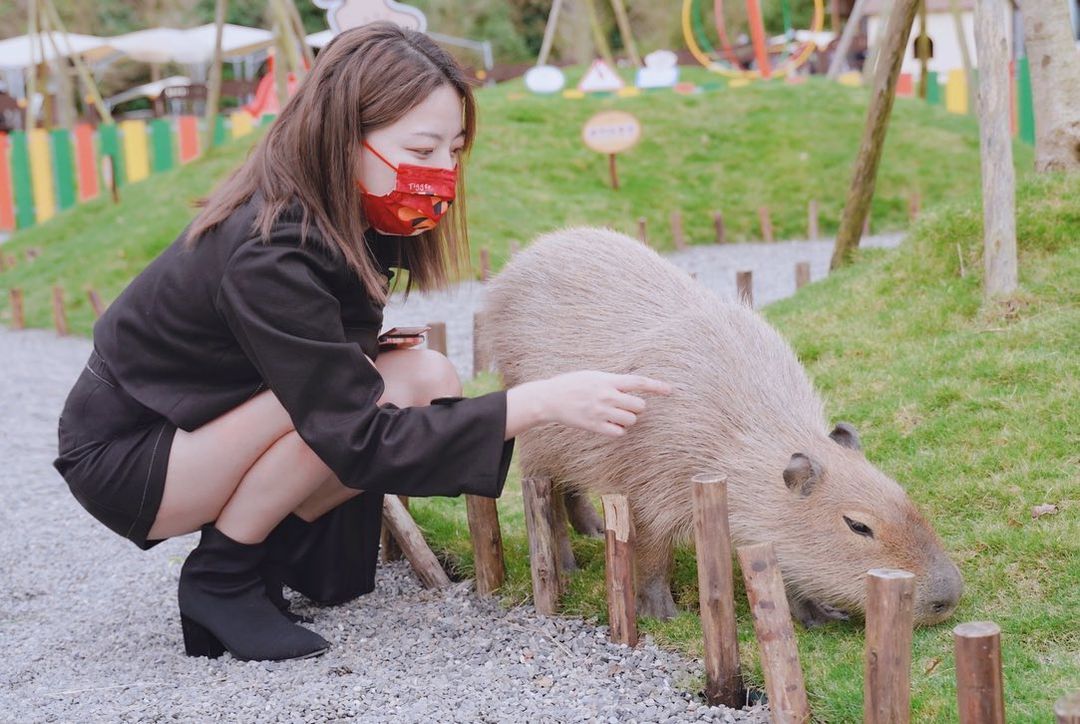  可愛動物區