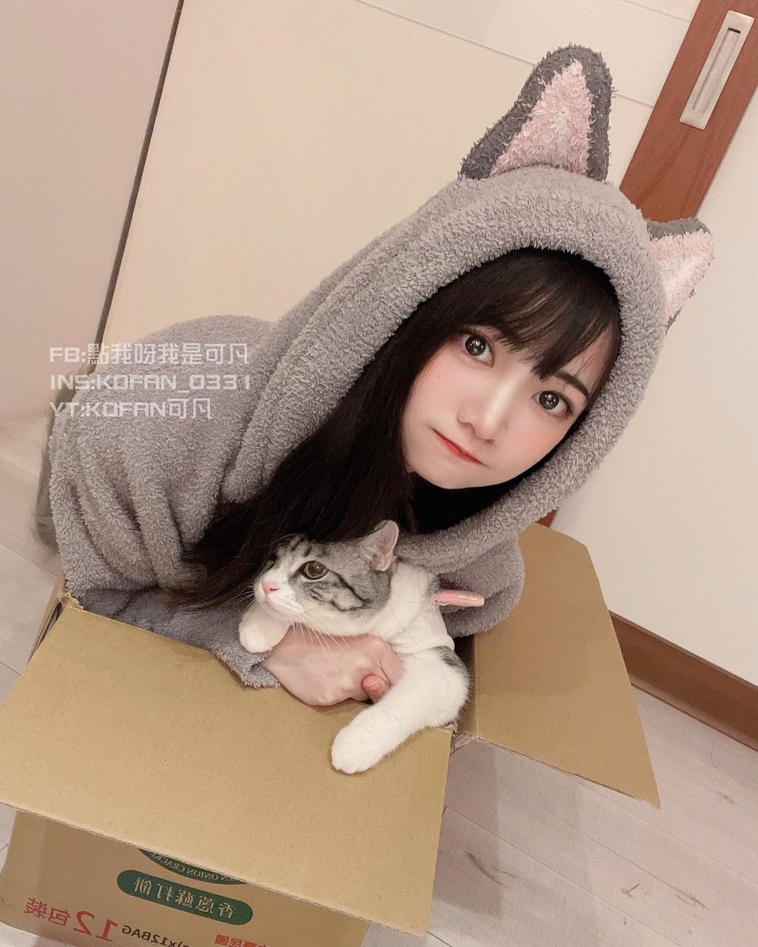  今日は猫の日～