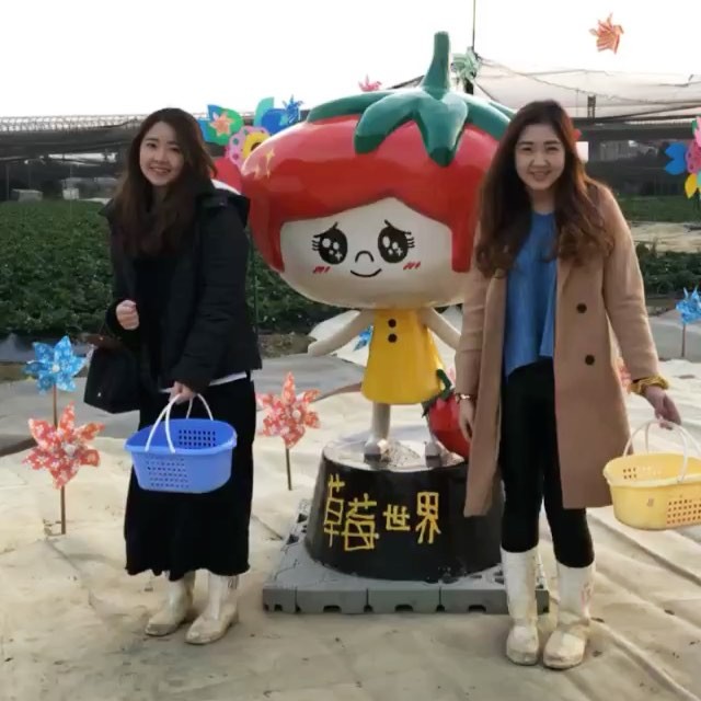  當一日買氏夫婦的電燈泡