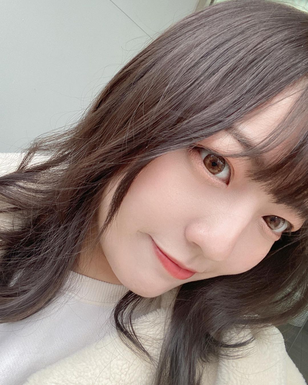  這種北極熊系列準備冬眠了