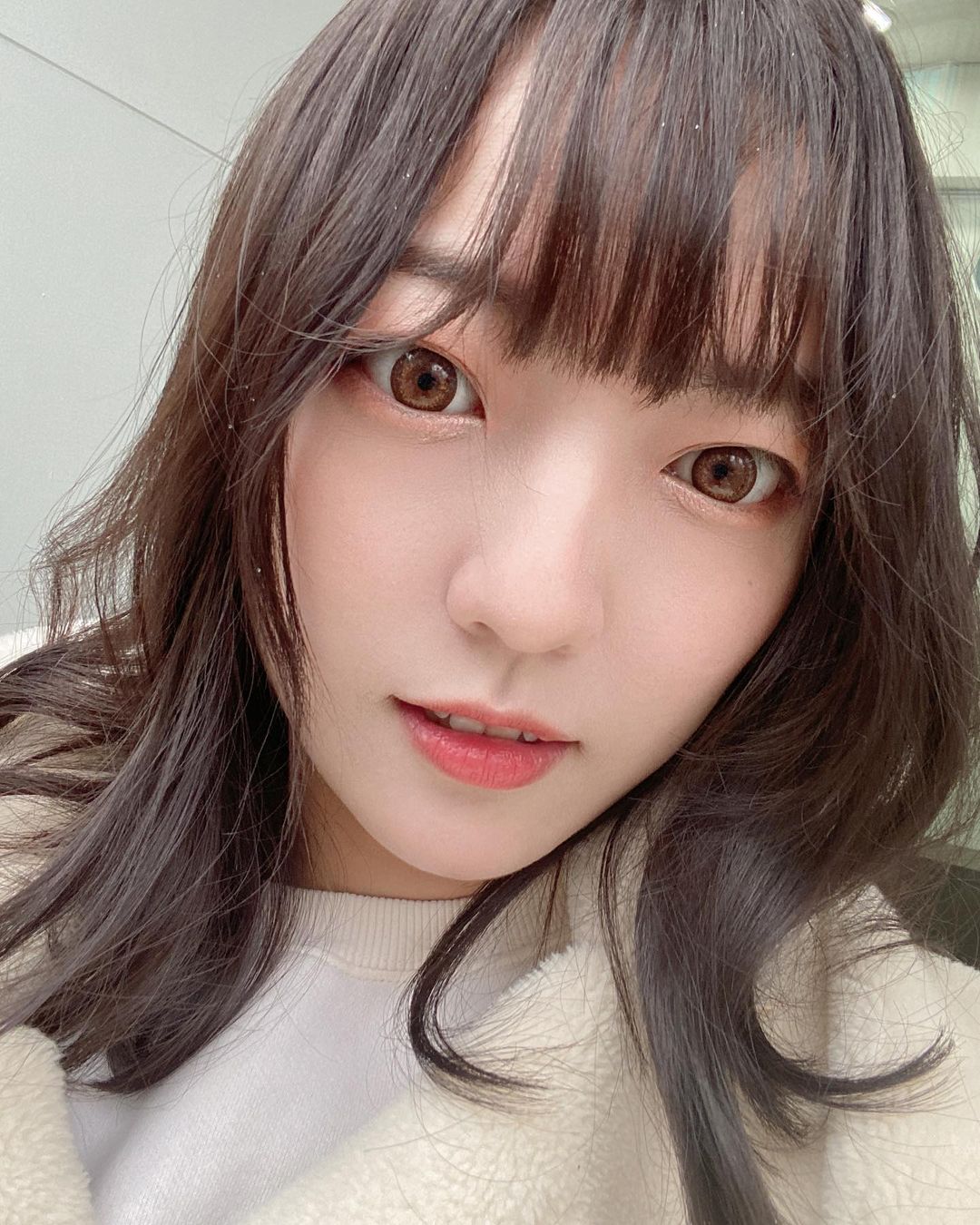  這種北極熊系列準備冬眠了