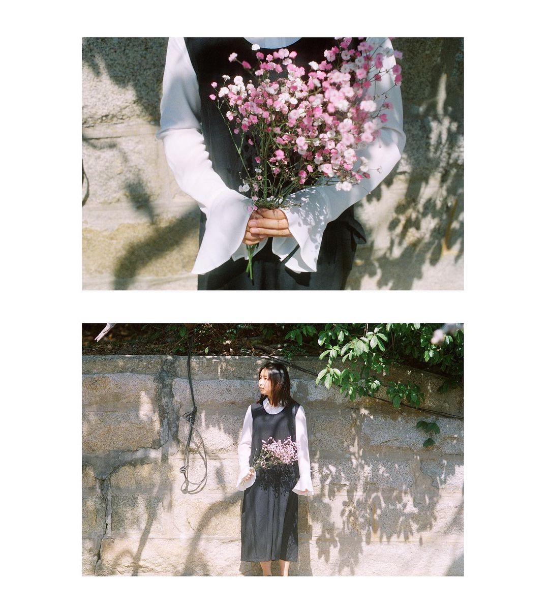  花的生命雖然短暫
但是它展現了最美�...
