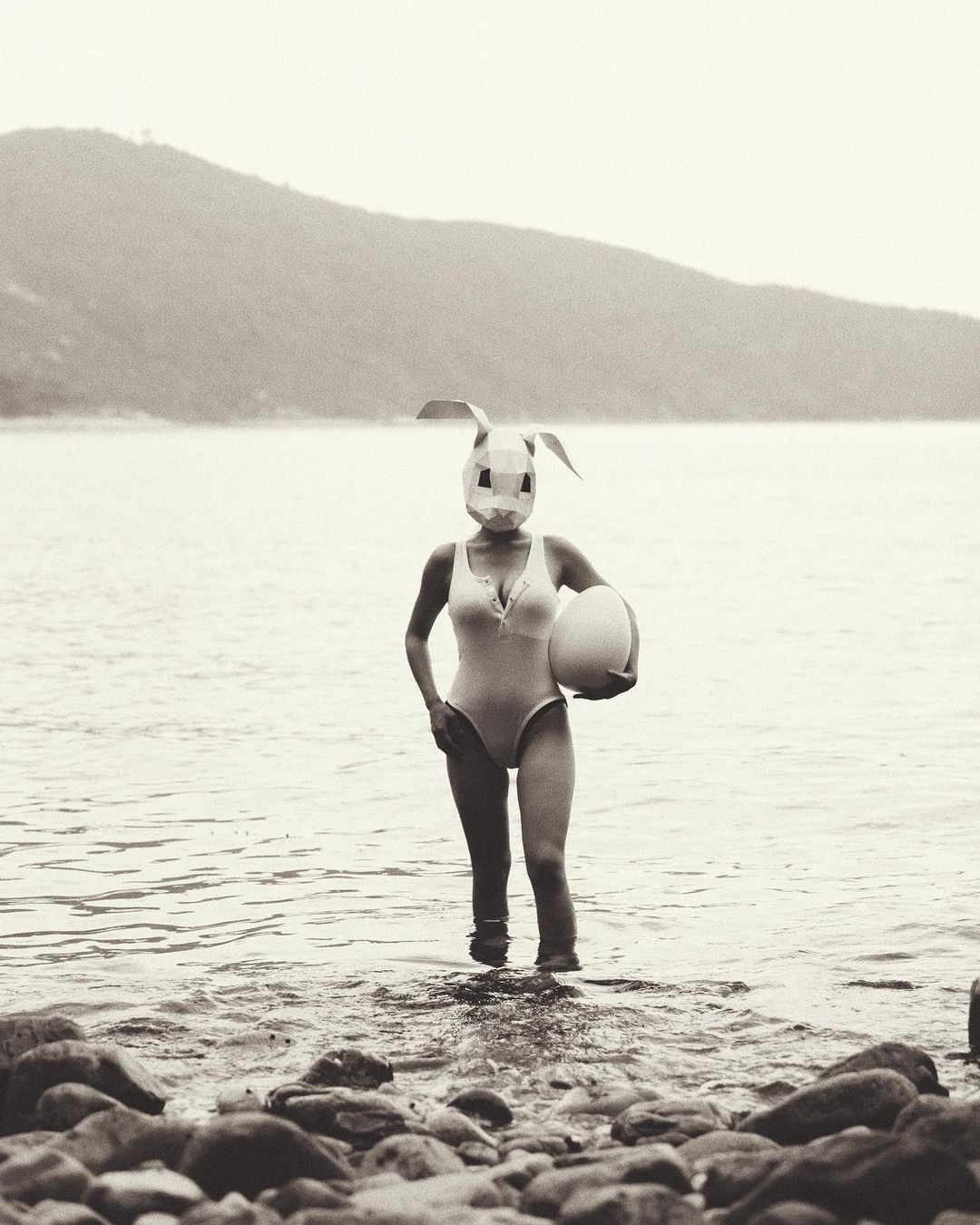  。
Bunny needs 