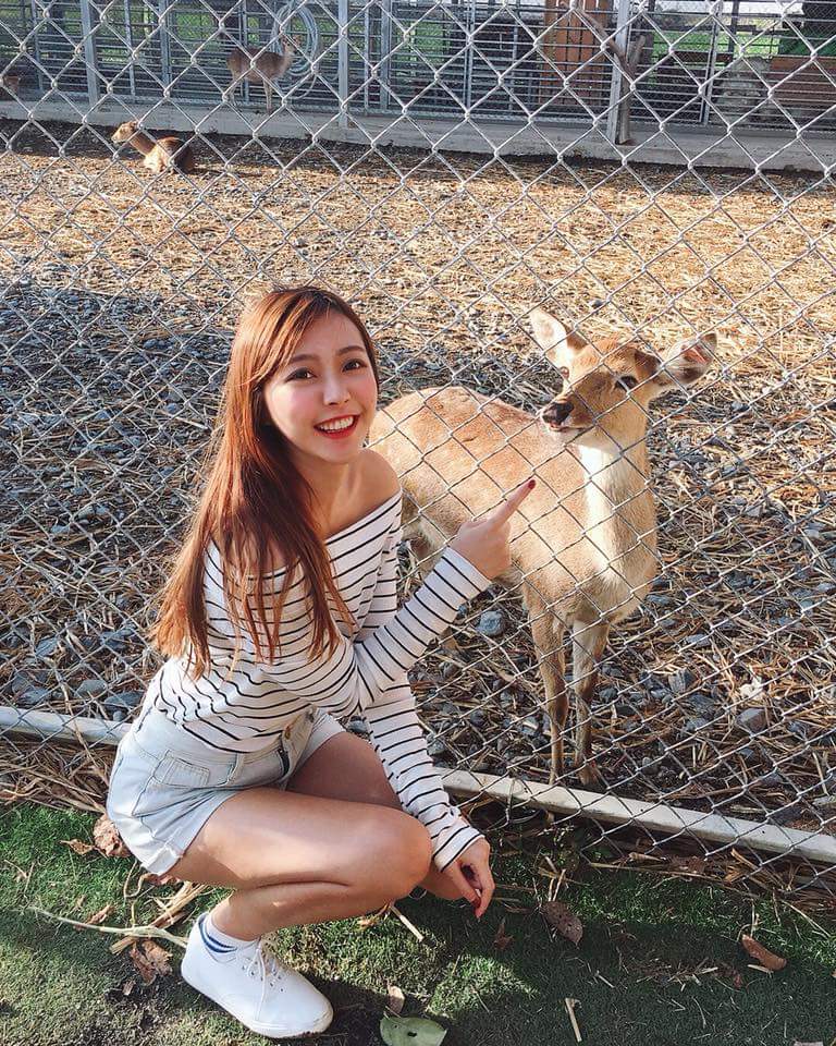  在鹿境 Paradise Of Deer