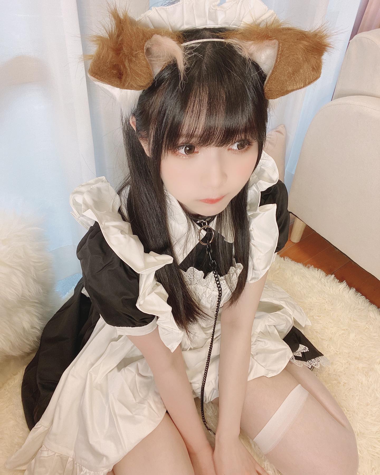  主人為什麼還不回家