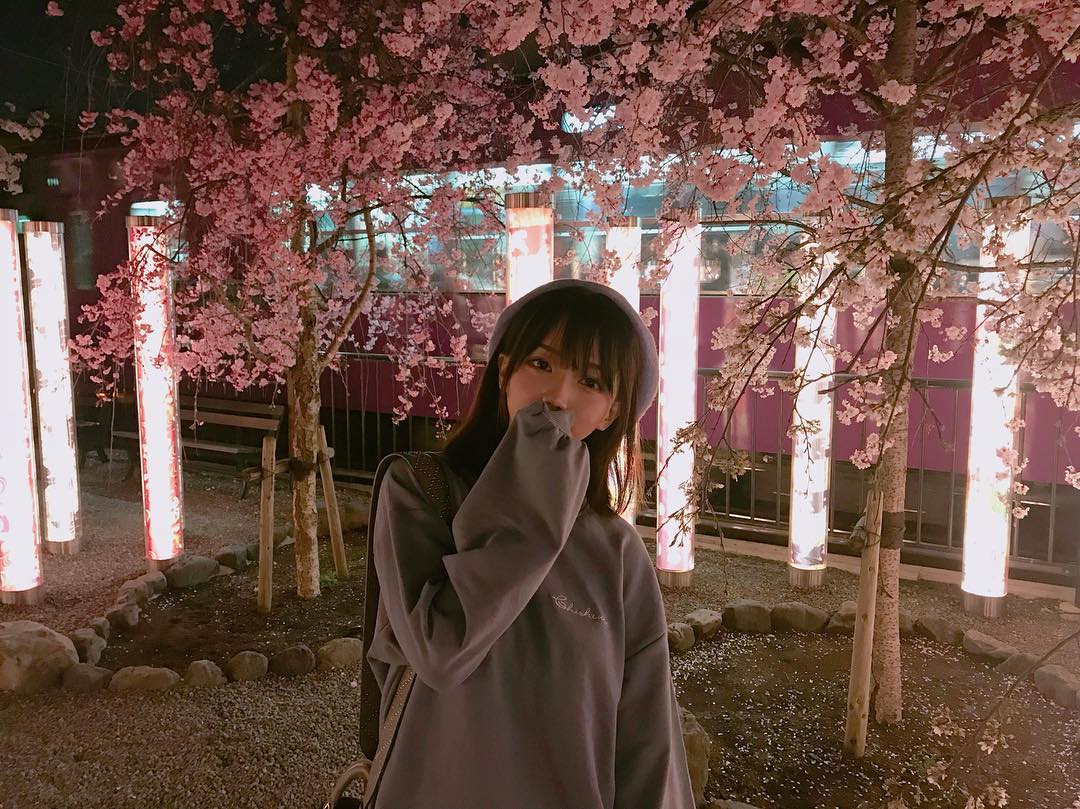  夜桜と電車