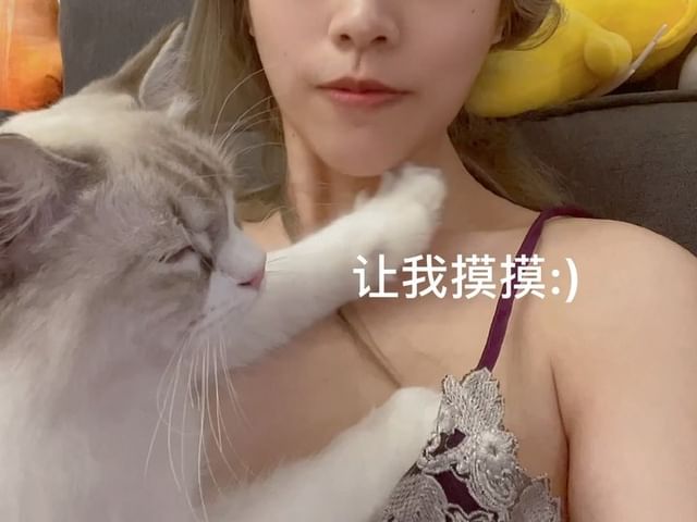  :) 全家就你一個貓喜歡掀我衣服
#純欲...