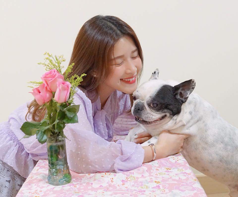  Reneebobo Li 李蔓瑩我的Bull哥6歲了