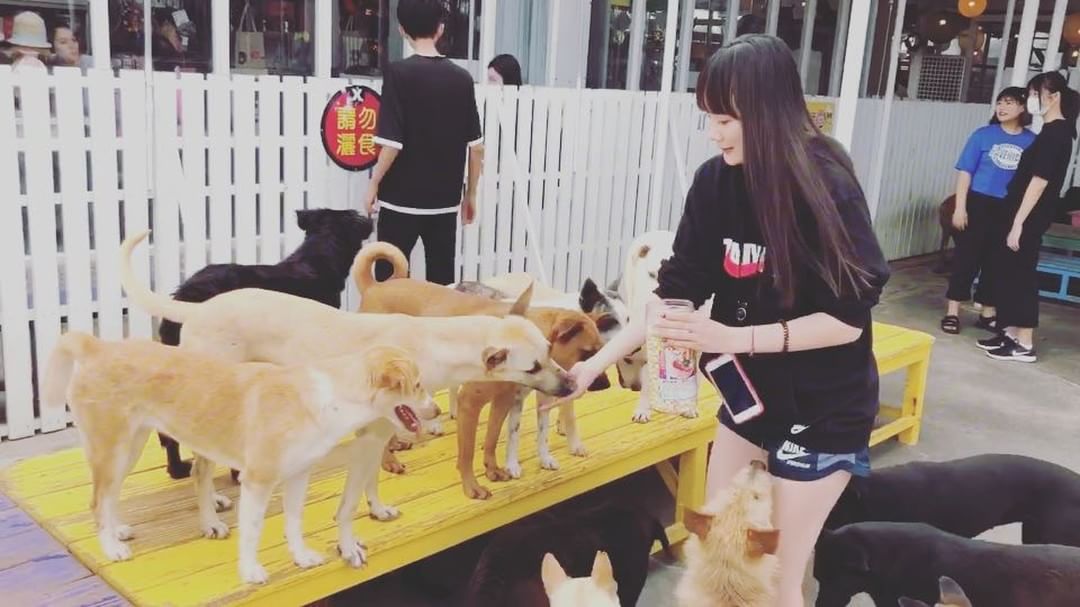  _
（文長,還是希望你們看完）

Follow徐...