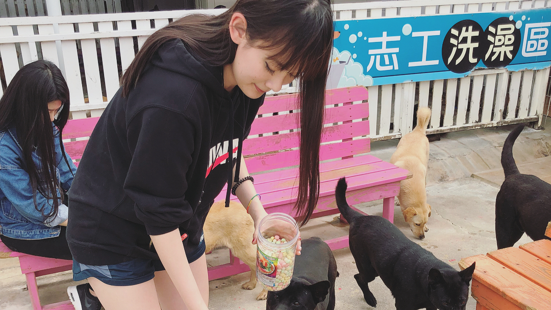  _
（文長,還是希望你們看完）

Follow徐...
