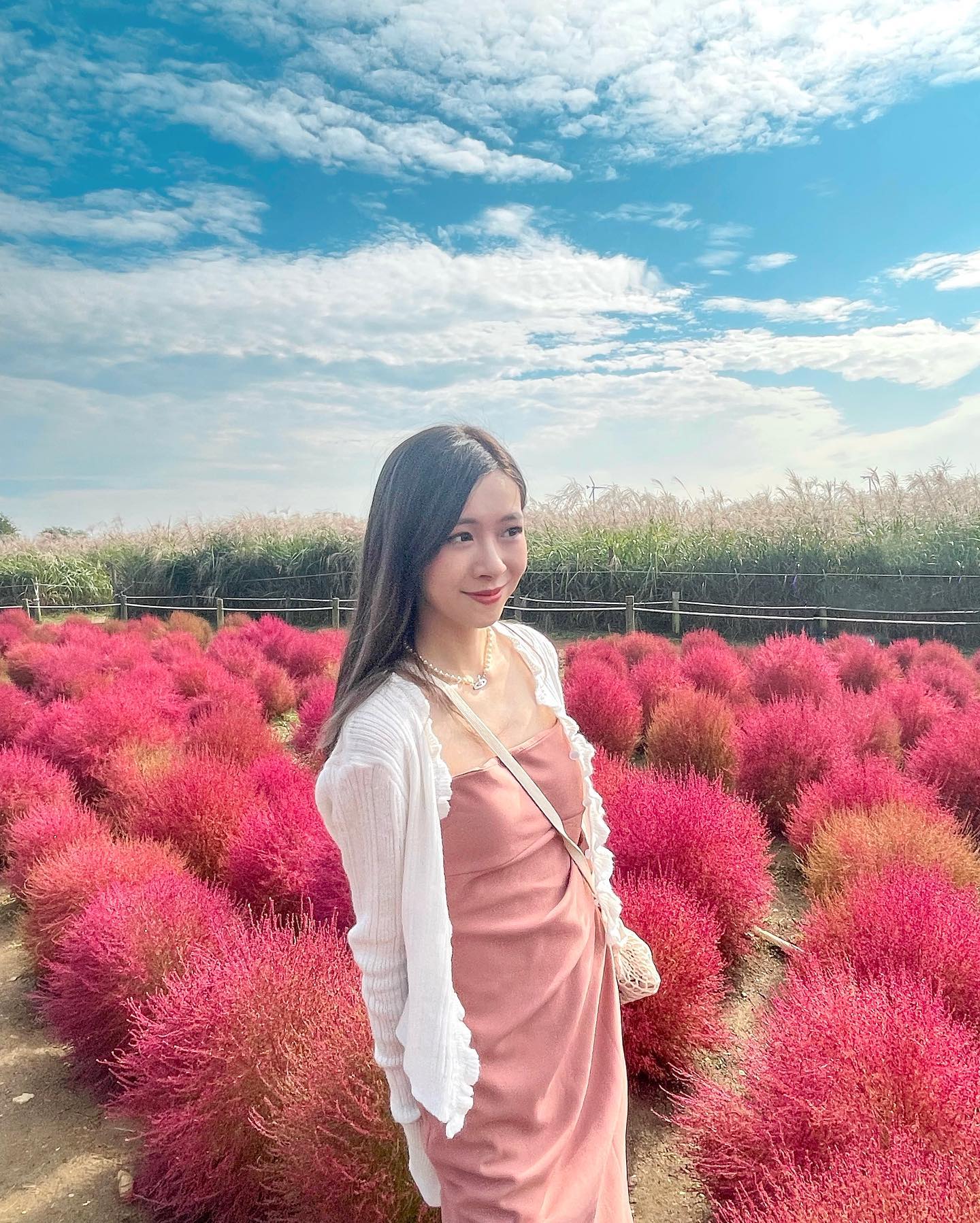  天公造美