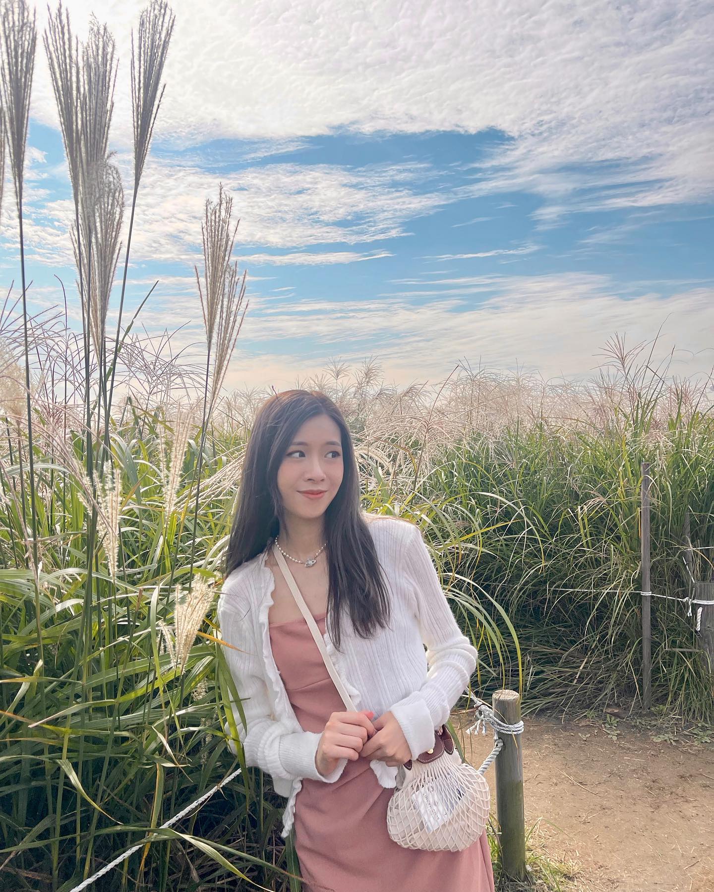  天公造美
