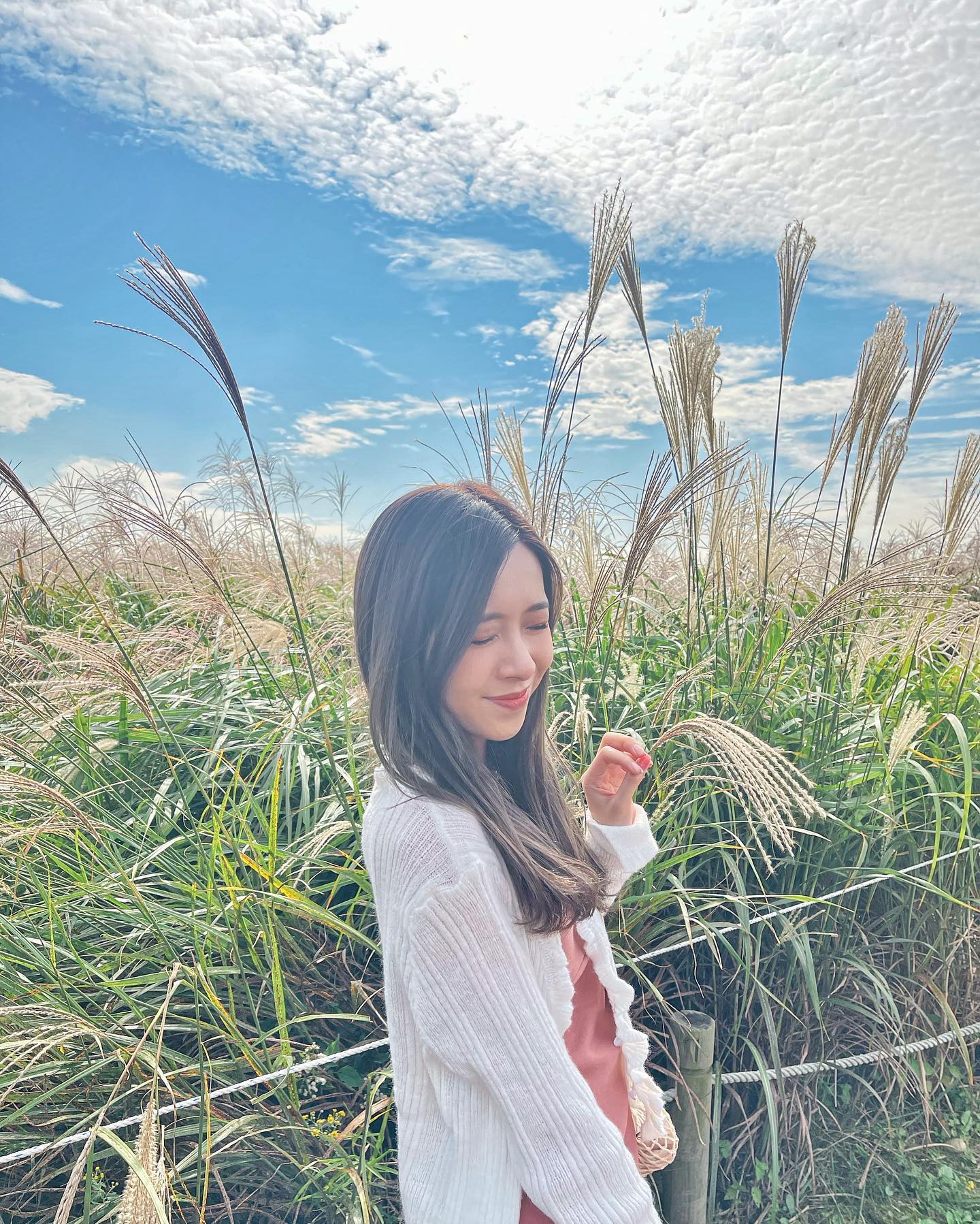 天公造美