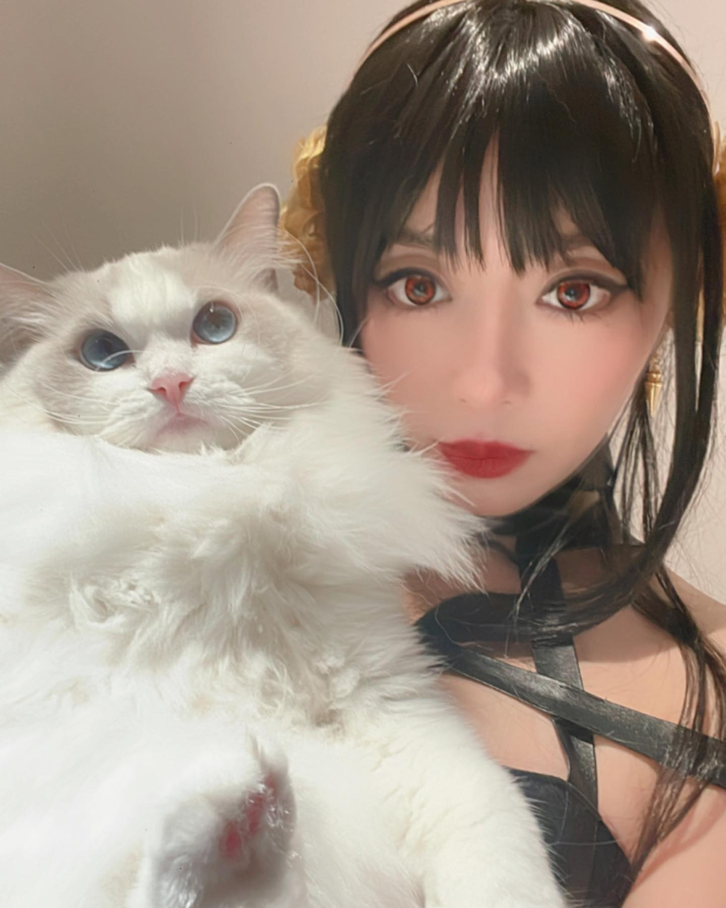  殺手約兒和Luna

#スパイファミリー #�...