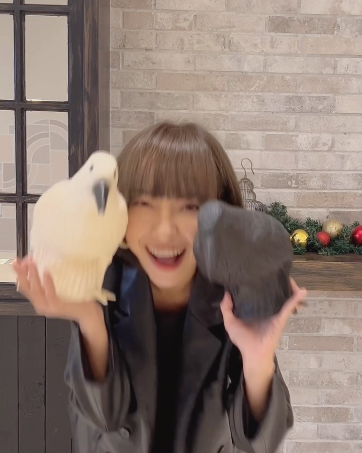  。
