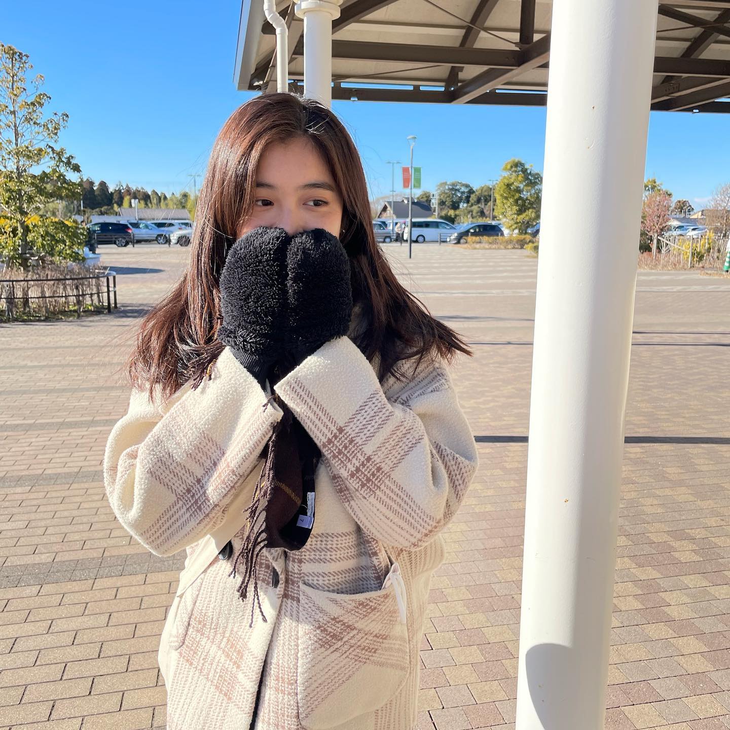  ✈️☃️