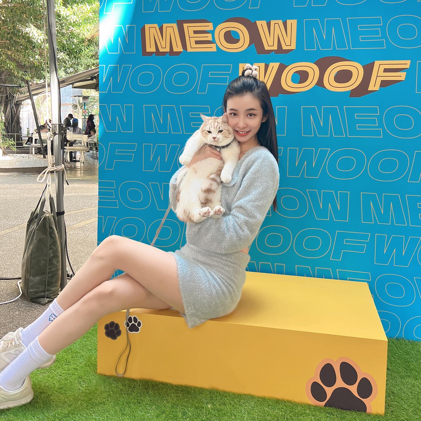  當我開始養貓之後，我的人生開啟新�...